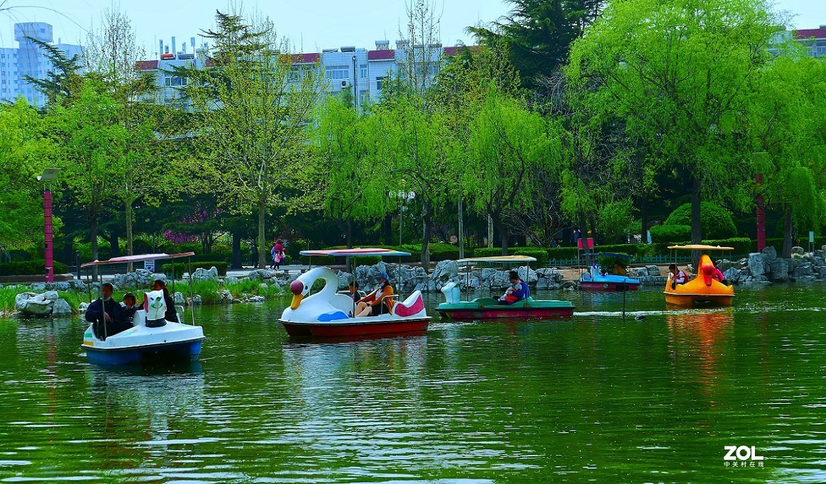 卡片机和60D的一组杂拍，这几天终于有点凉快了，再过几天就可以出去溜达扫街了！哈哈