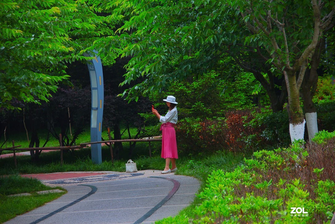 卡片机和60D的一组杂拍，这几天终于有点凉快了，再过几天就可以出去溜达扫街了！哈哈