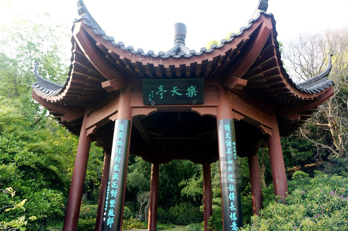 【家乡美】日暮乡关诗情欢——武汉随笔