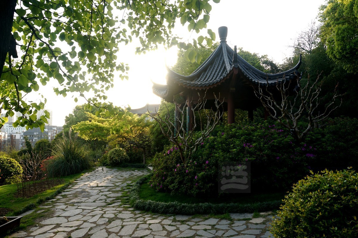 【家乡美】日暮乡关诗情欢——武汉随笔