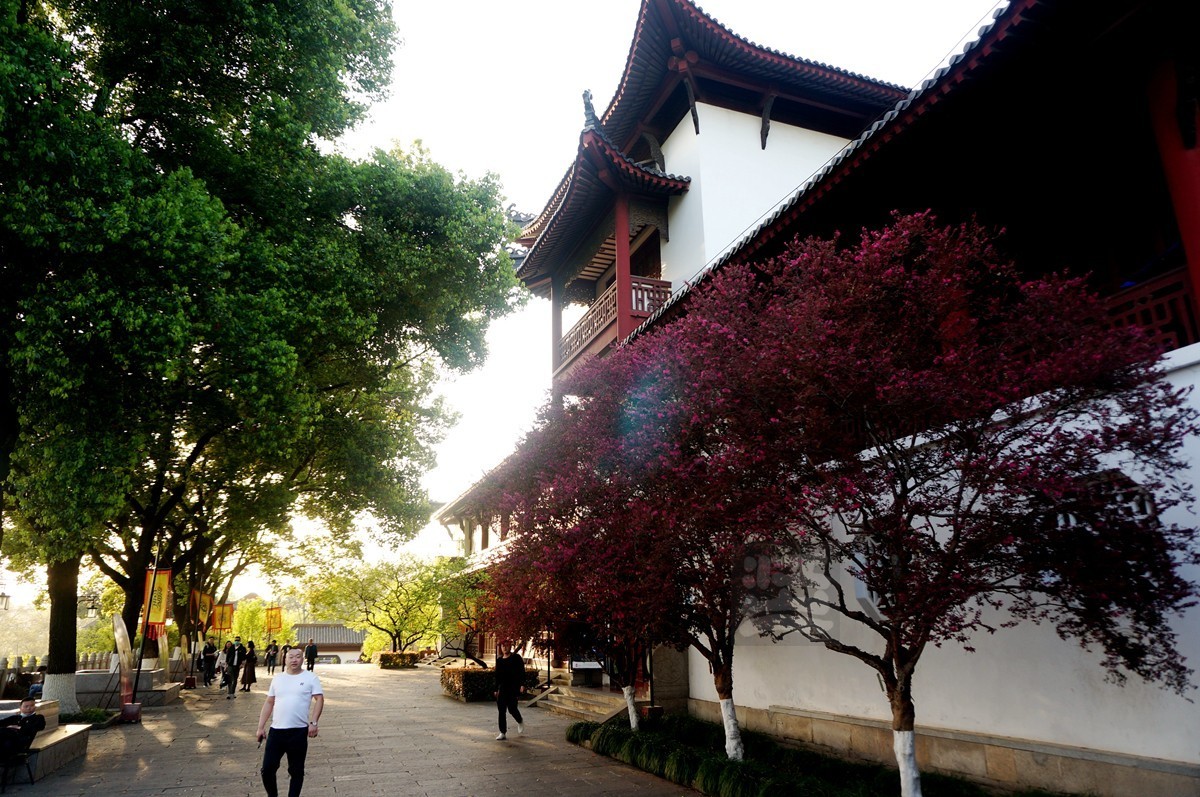 【家乡美】日暮乡关诗情欢——武汉随笔