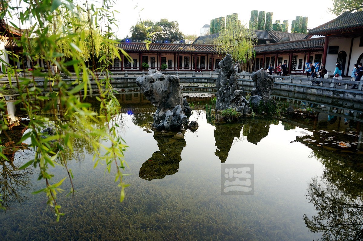 【家乡美】日暮乡关诗情欢——武汉随笔