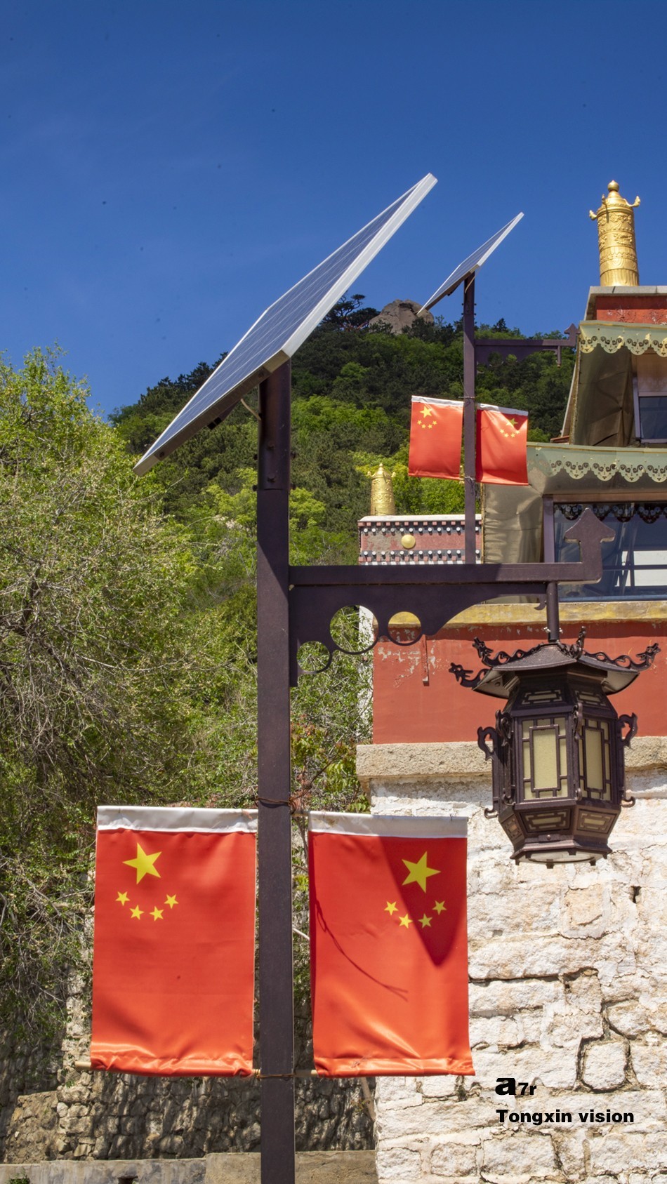 初夏普安寺（27）