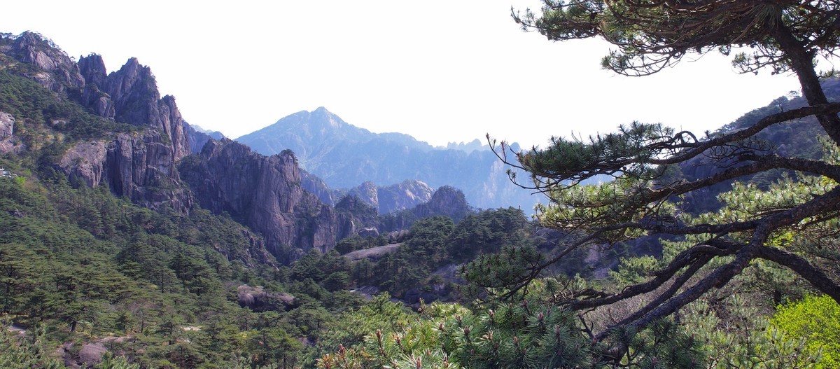 下江南--安徽-黄山【23】