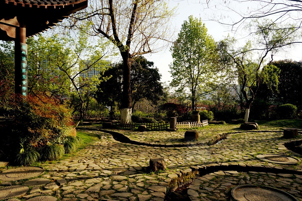 【家乡美】日暮乡关诗情欢——武汉随笔