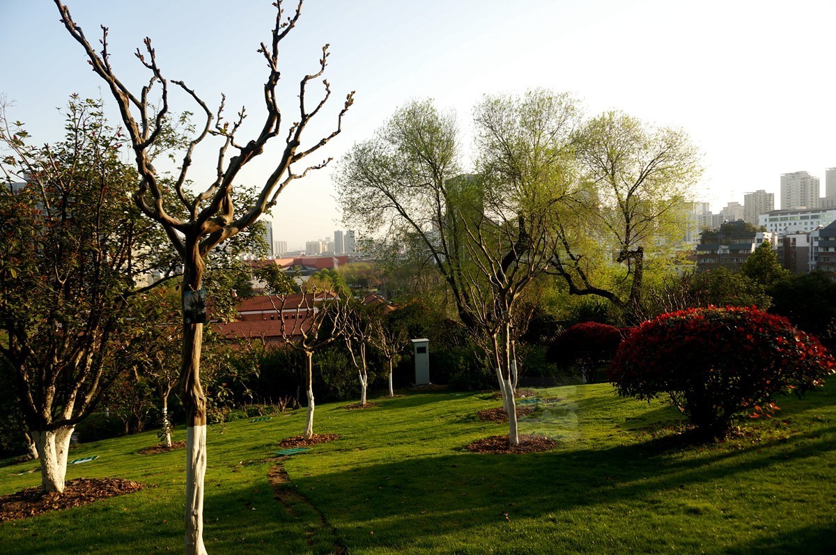 【家乡美】日暮乡关诗情欢——武汉随笔