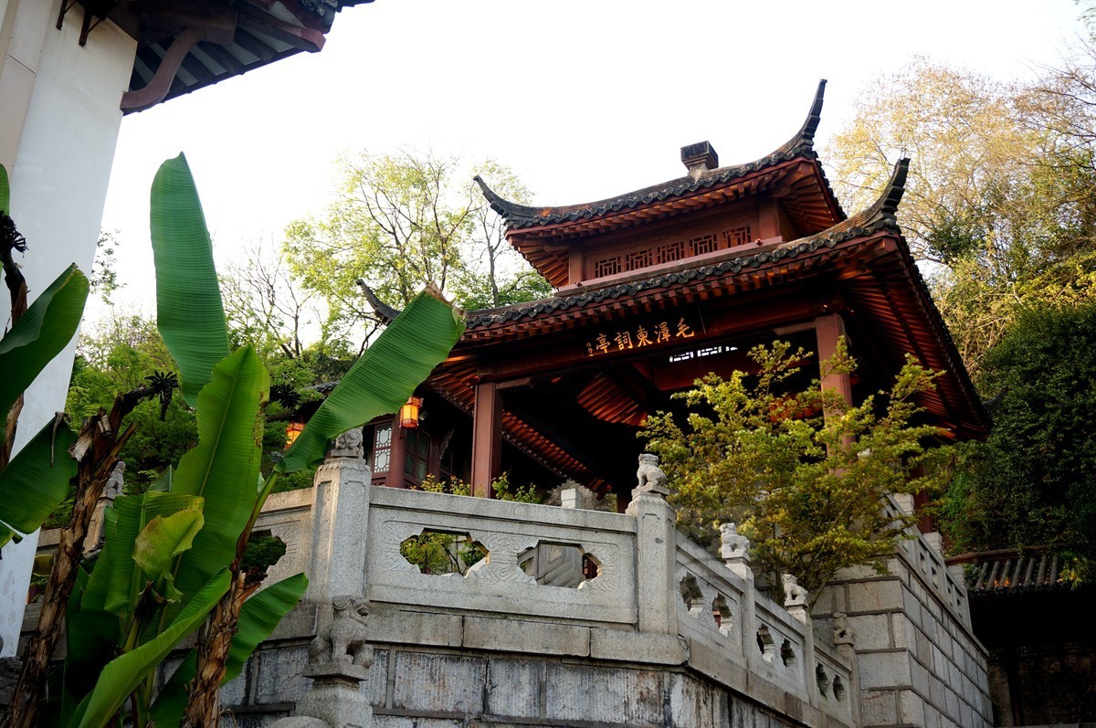 【家乡美】日暮乡关诗情欢——武汉随笔