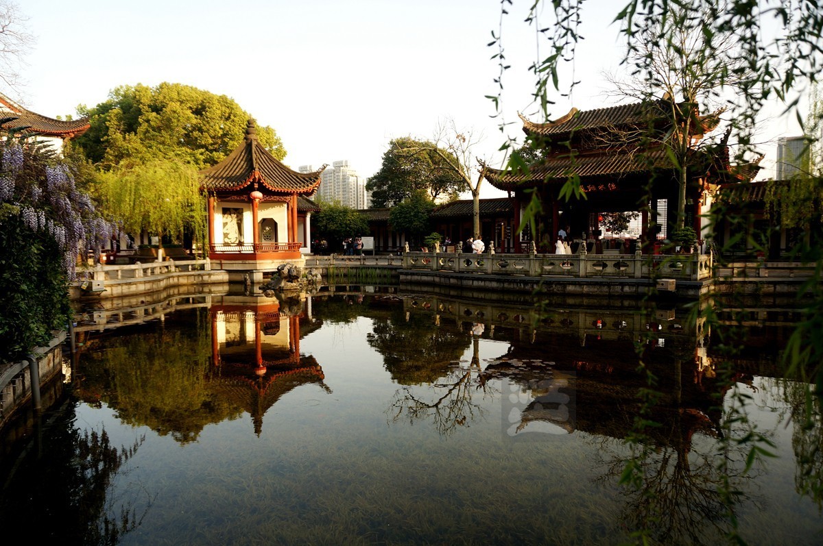 【家乡美】日暮乡关诗情欢——武汉随笔