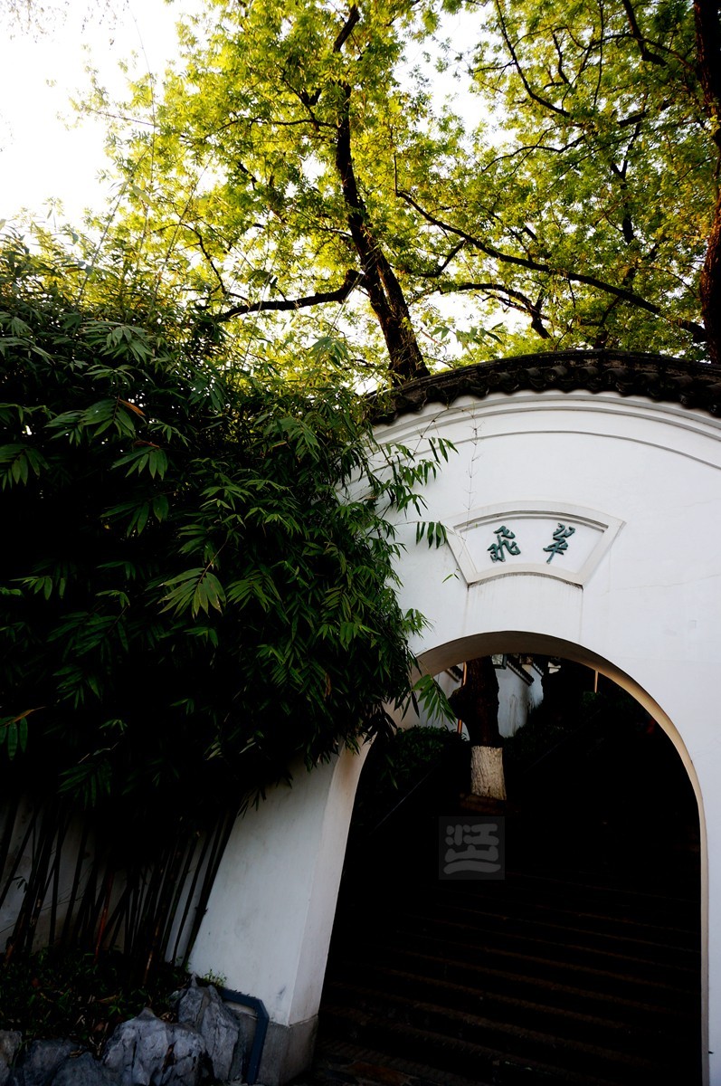 【家乡美】日暮乡关诗情欢——武汉随笔