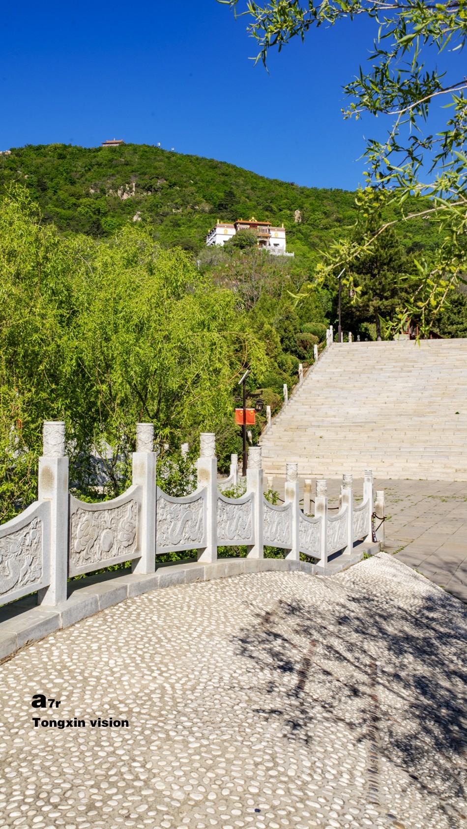 初夏普安寺（27）