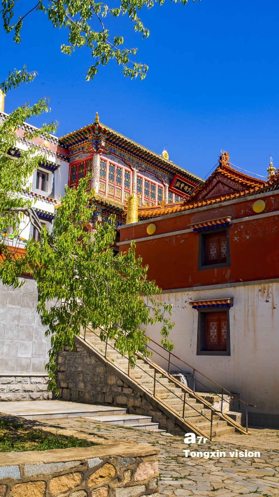 初夏普安寺（27）