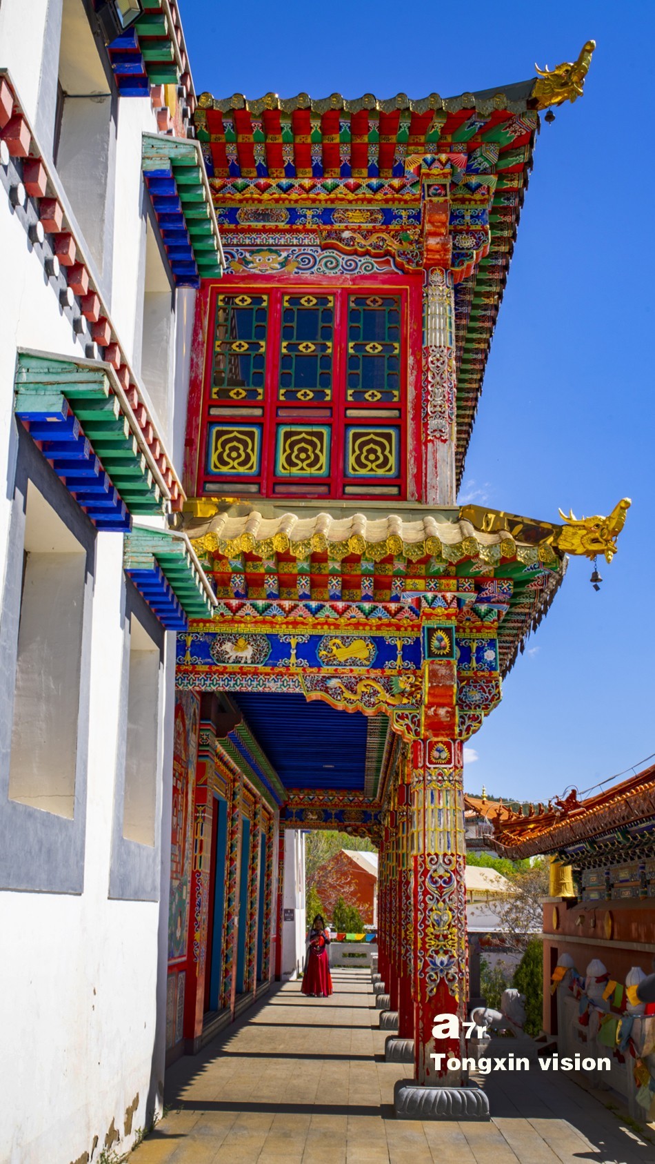 初夏普安寺（27）