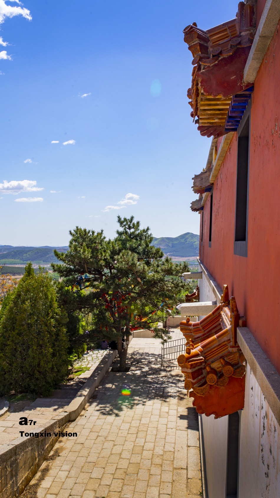 初夏普安寺（27）