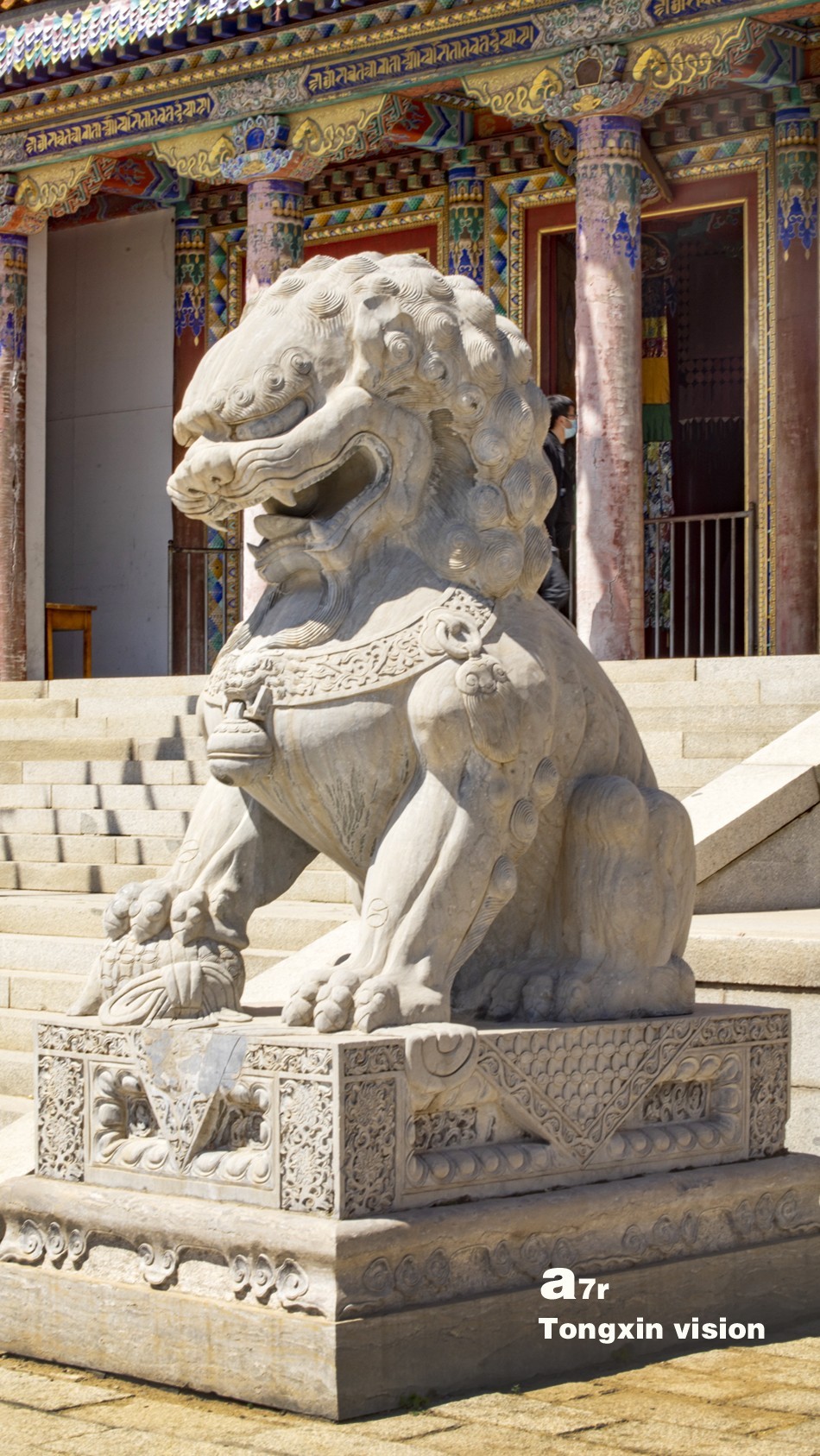 初夏普安寺（27）