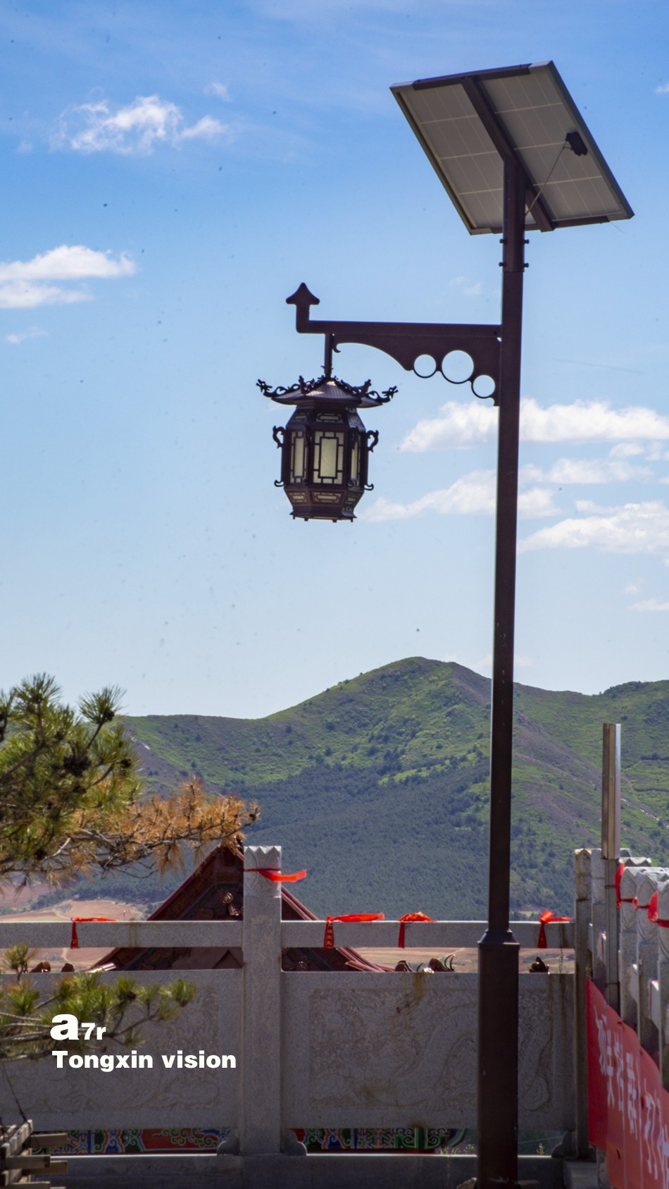 初夏普安寺（27）