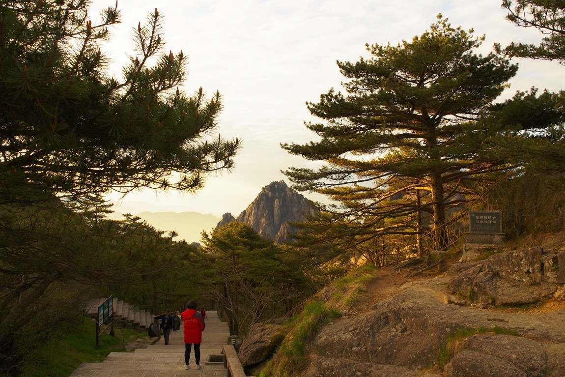 下江南--安徽-黄山【23】