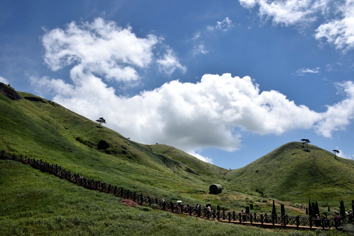 2021夏渝川赣36吊马桩