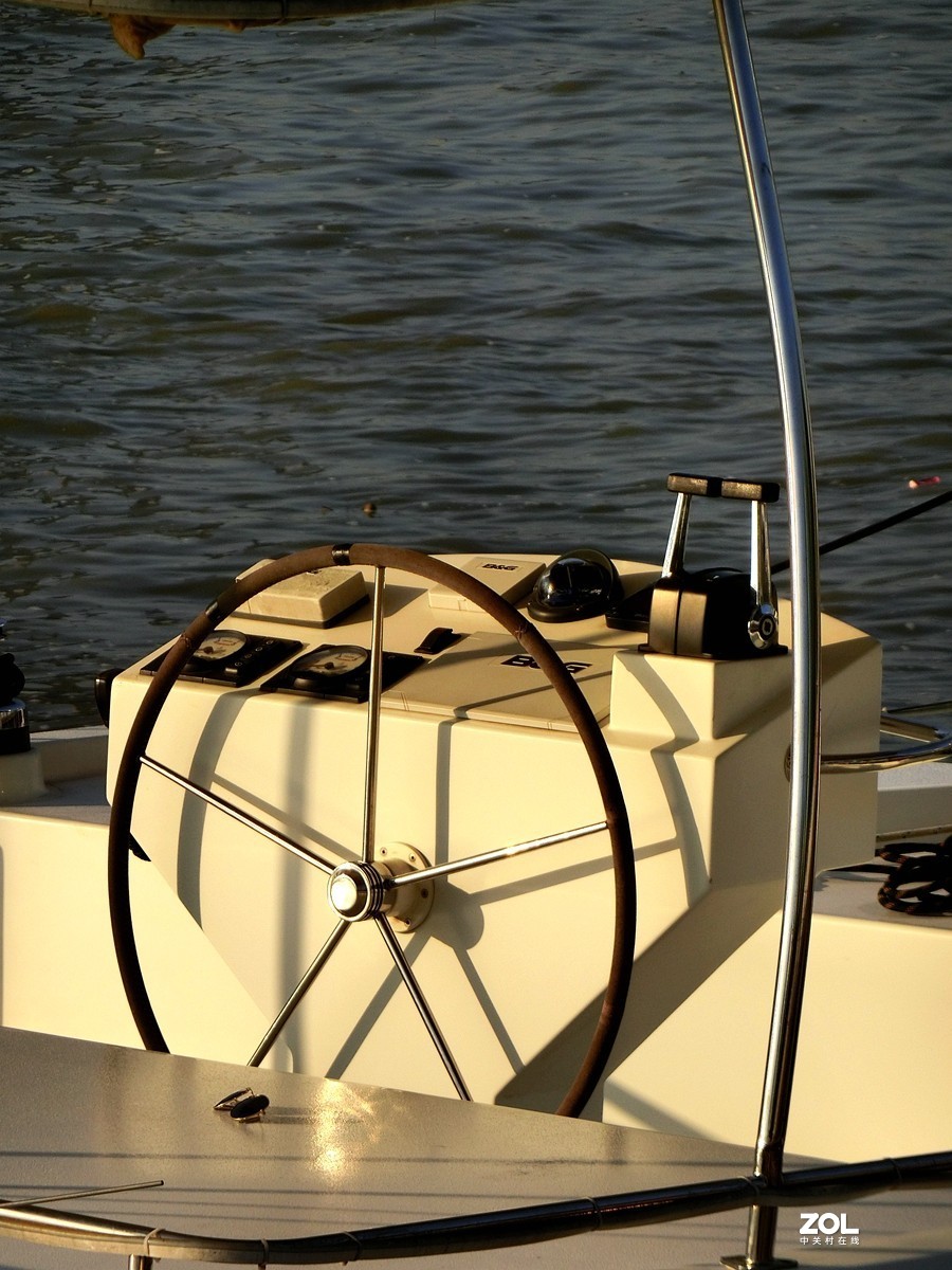 晨光下的随拍 ------ 3