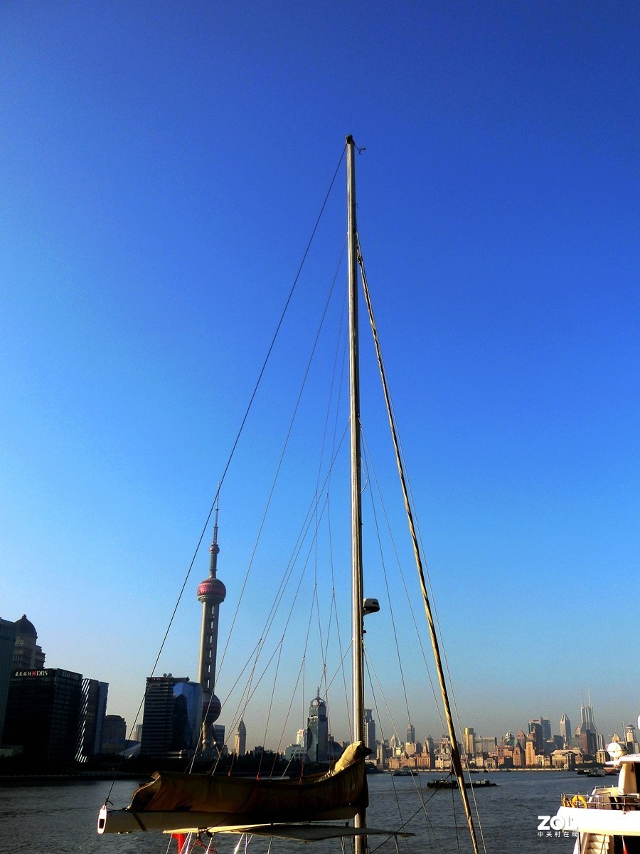 晨光下的随拍 ------ 3