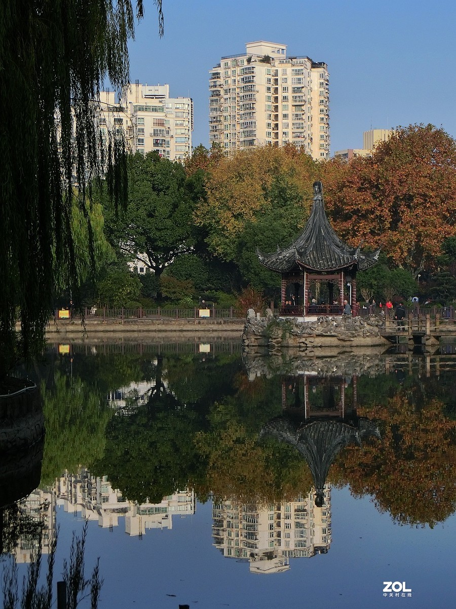 晨光下的随拍 ------ 4