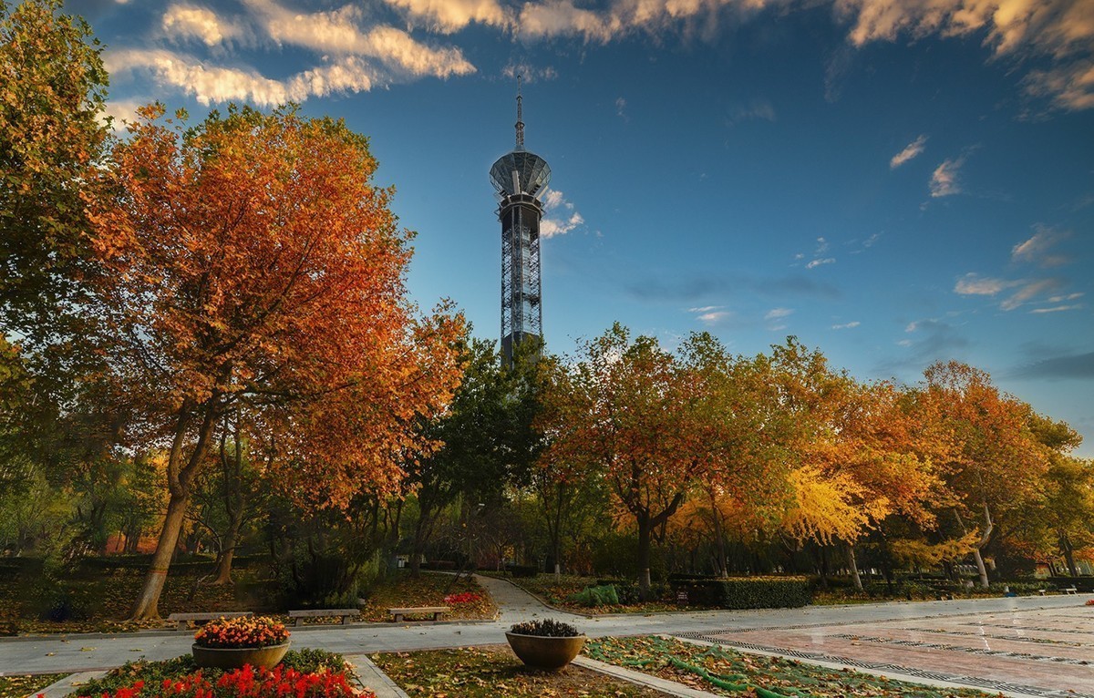 秋去冬来--秋意浓浓