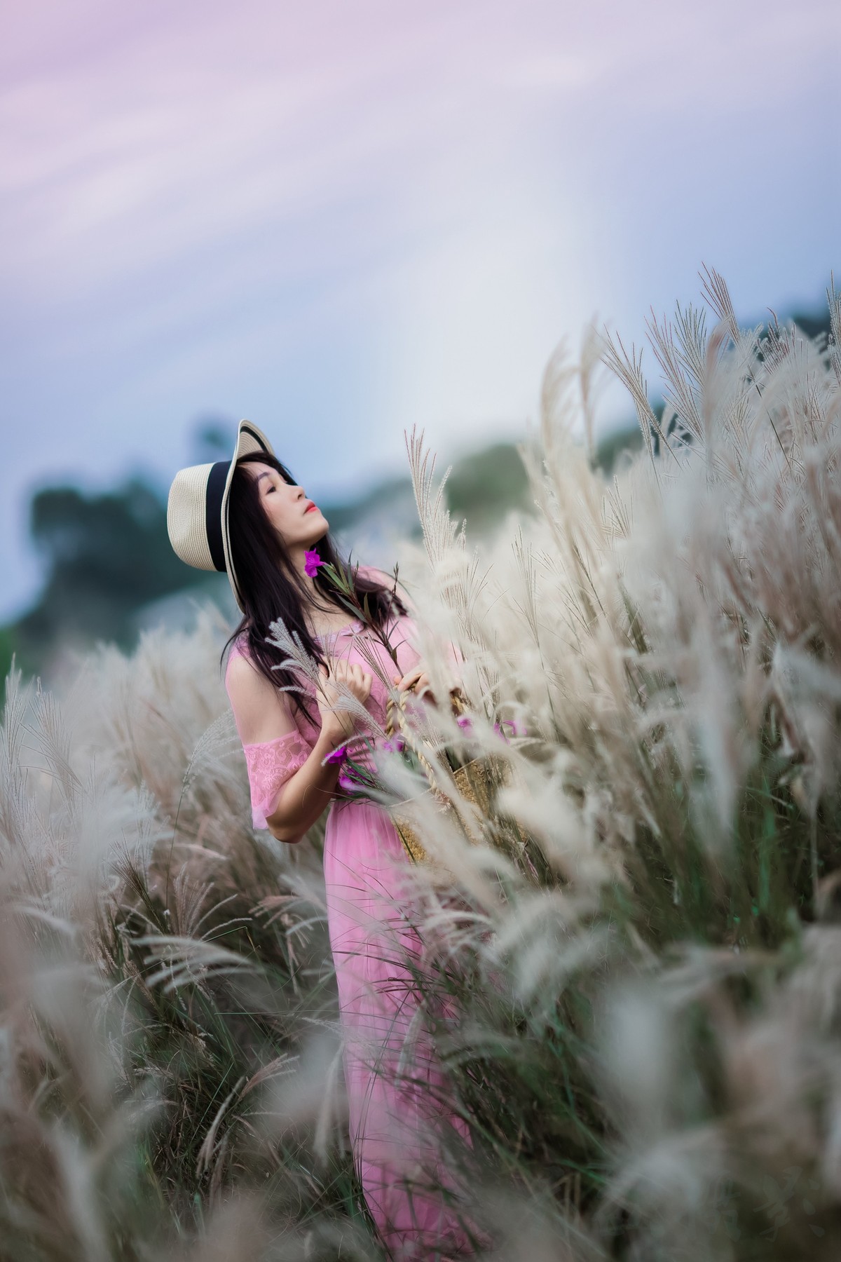 冬日里的芦苇荡