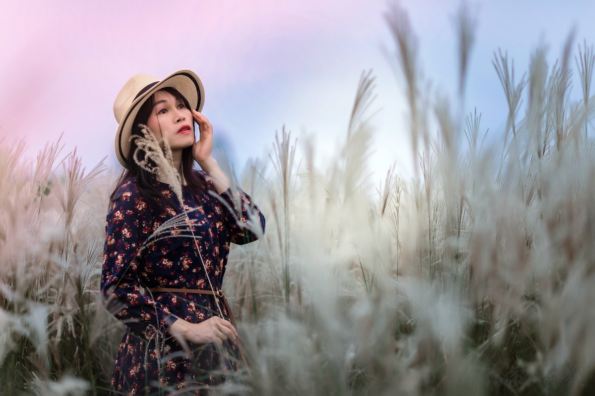 冬日里的芦苇荡