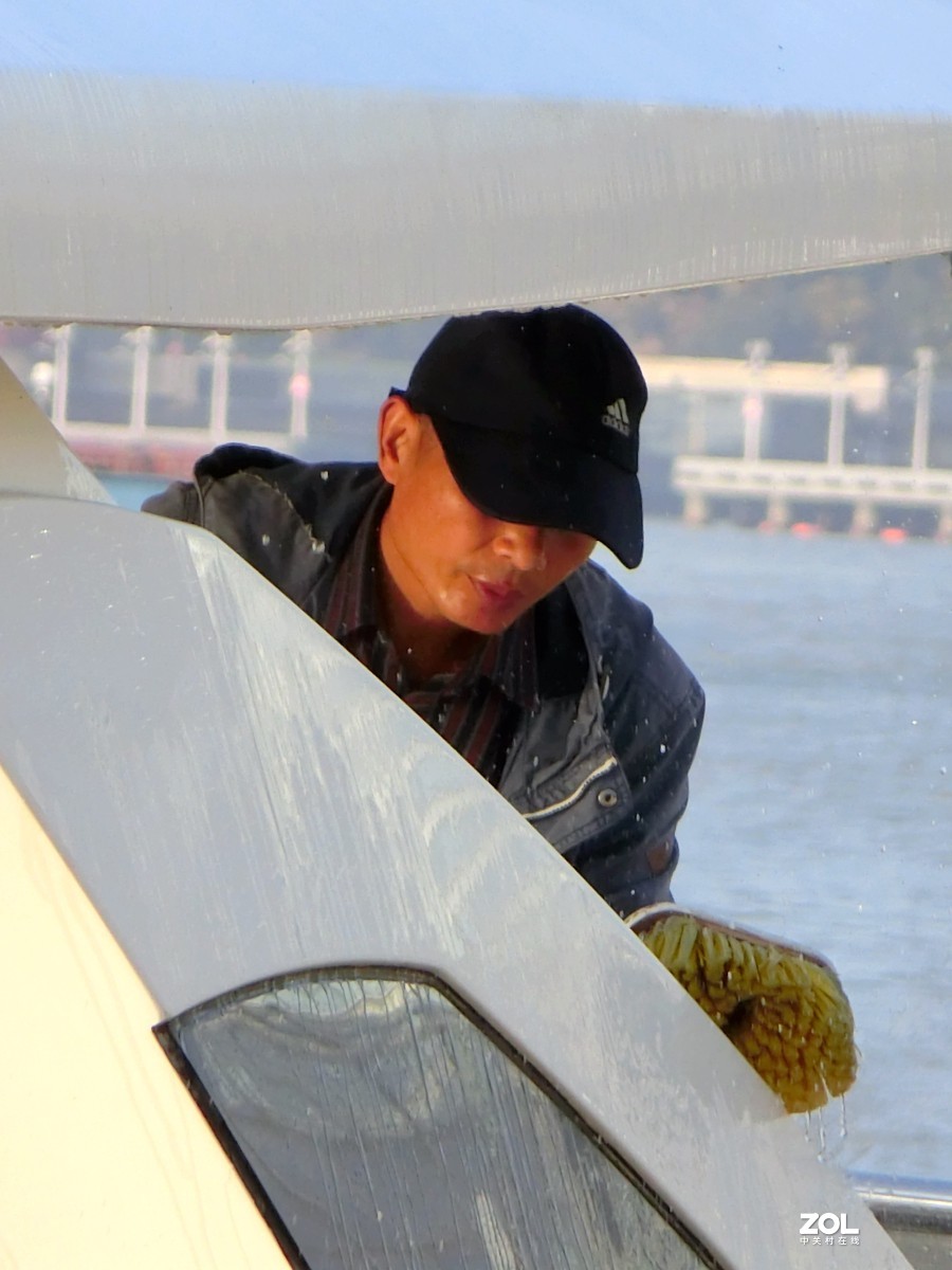 晨光下的随拍 ------ 3