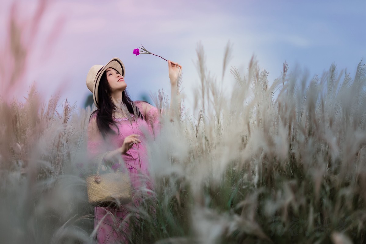 冬日里的芦苇荡