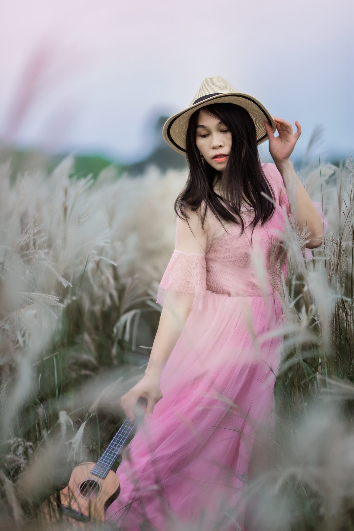 冬日里的芦苇荡