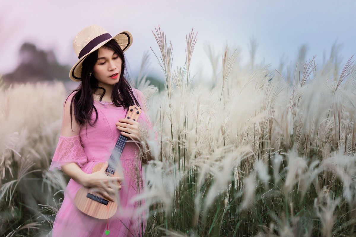 冬日里的芦苇荡