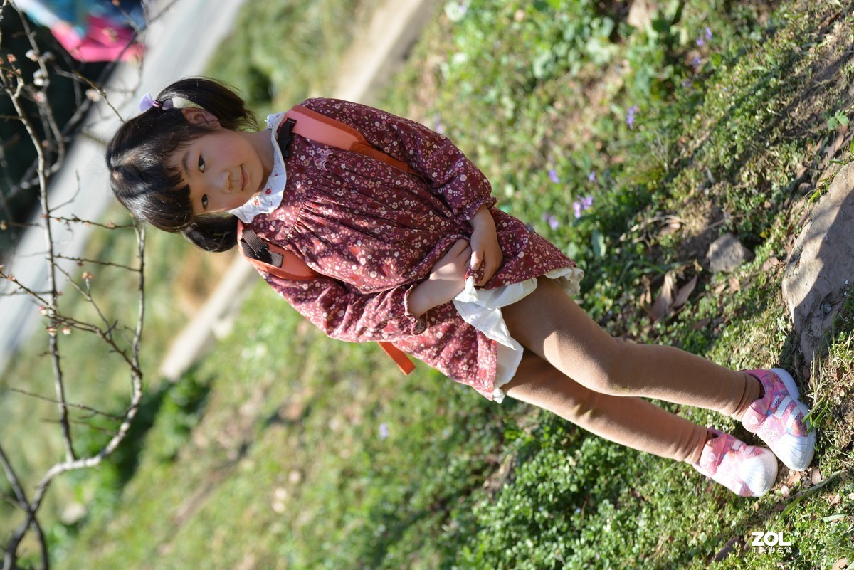 尼康D7100 +腾龙70-200 A009