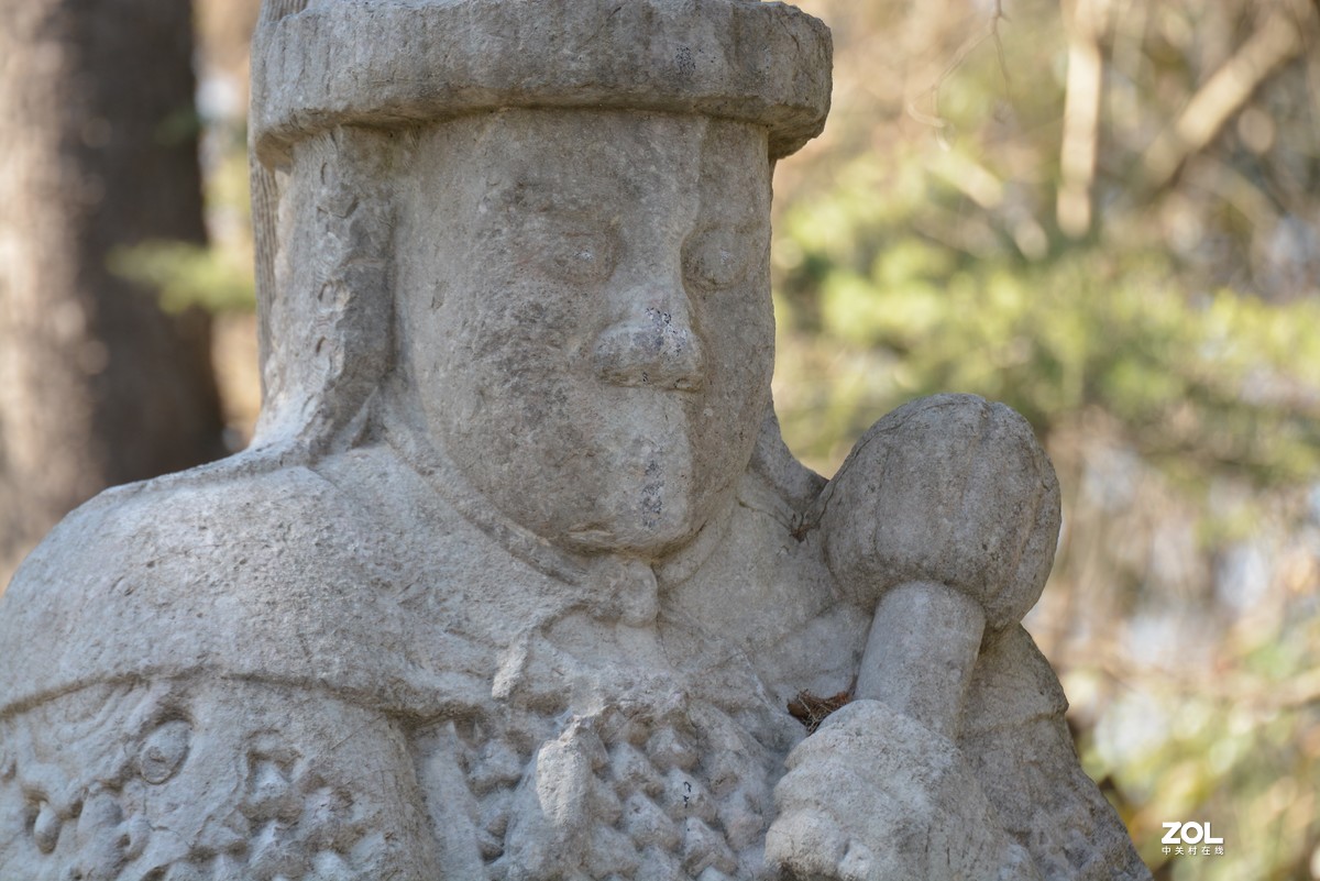 尼康D7100 +腾龙70-200 A009