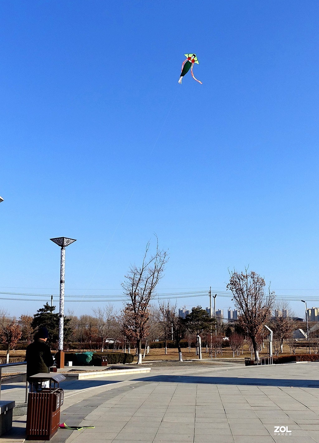 中关村公园 风筝图片