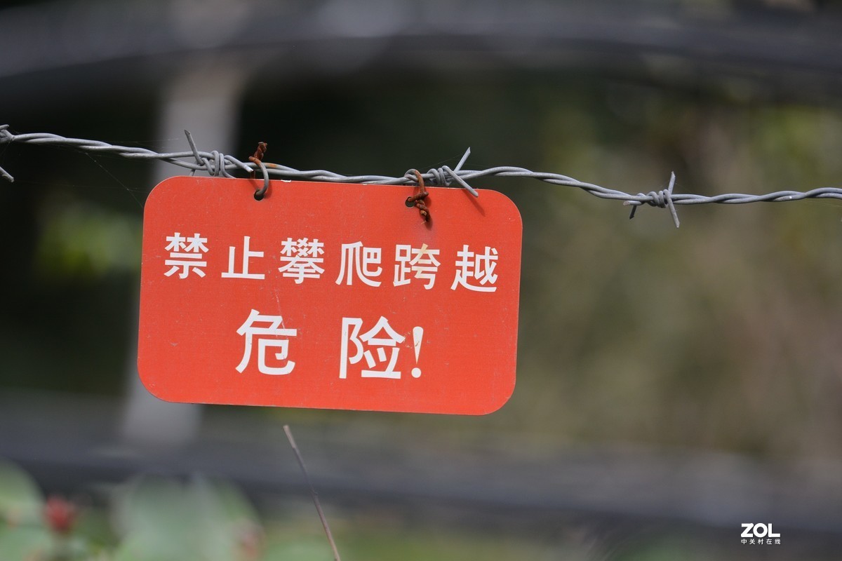 尼康D7100 +腾龙70-200 A009