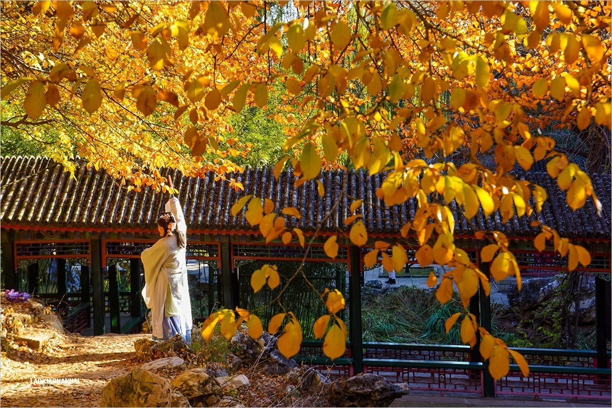 2021年第793贴-颐和园谐趣园秋拍-5（1128F）