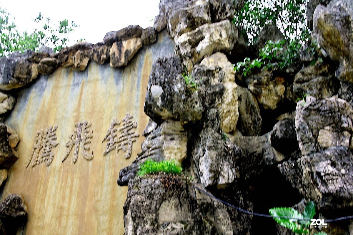 成都双流正源大酒店(11)