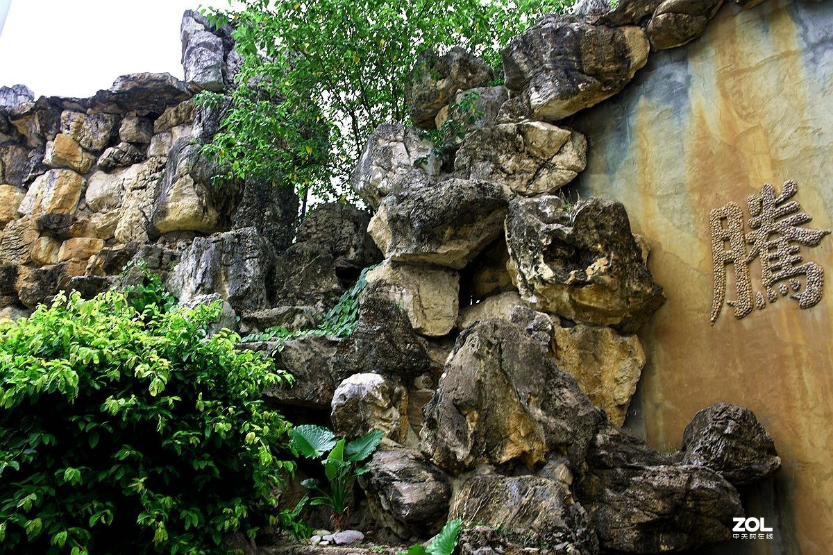 成都双流正源大酒店(11)