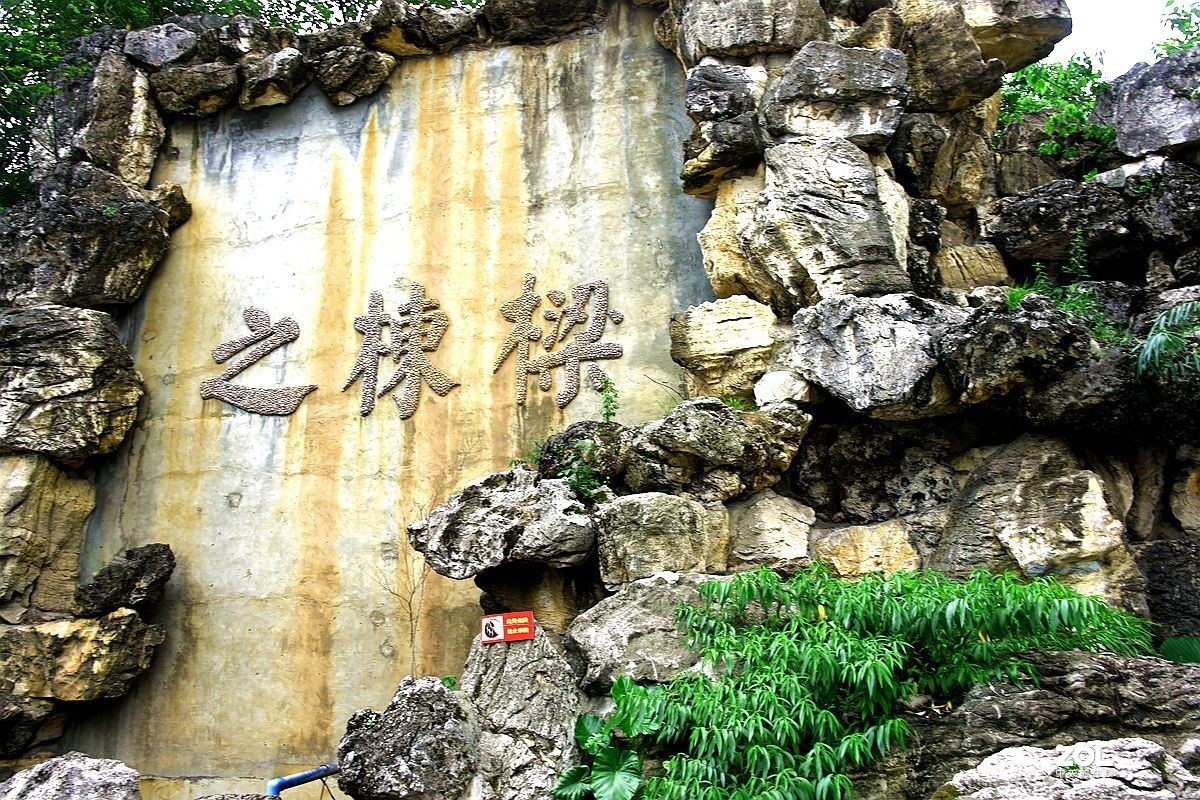 成都双流正源大酒店(11)