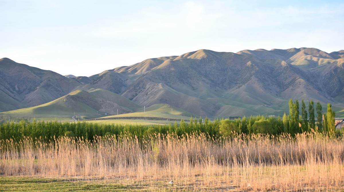 宁静的巩乃斯河边。