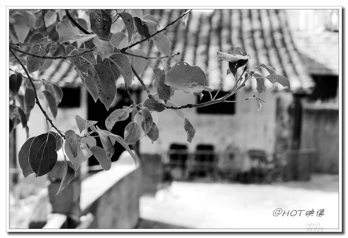 黎里古镇——黑白印象