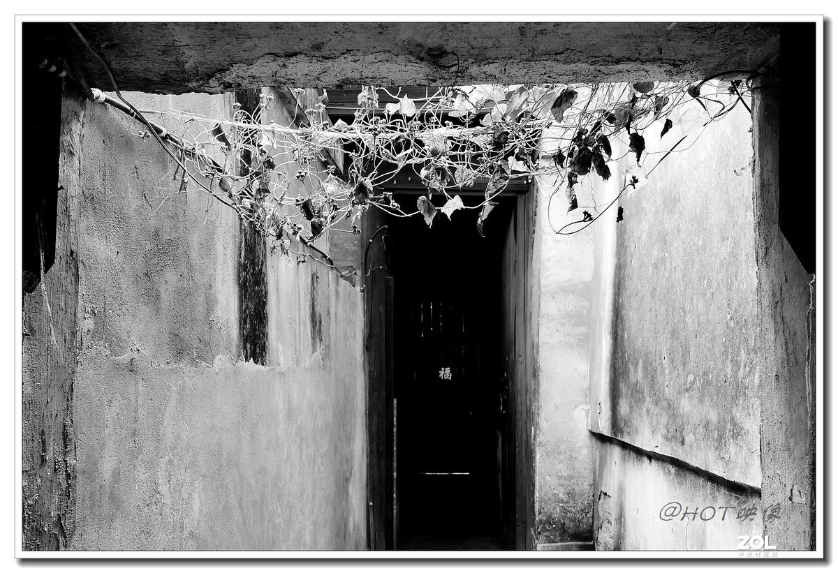 黎里古镇——黑白印象