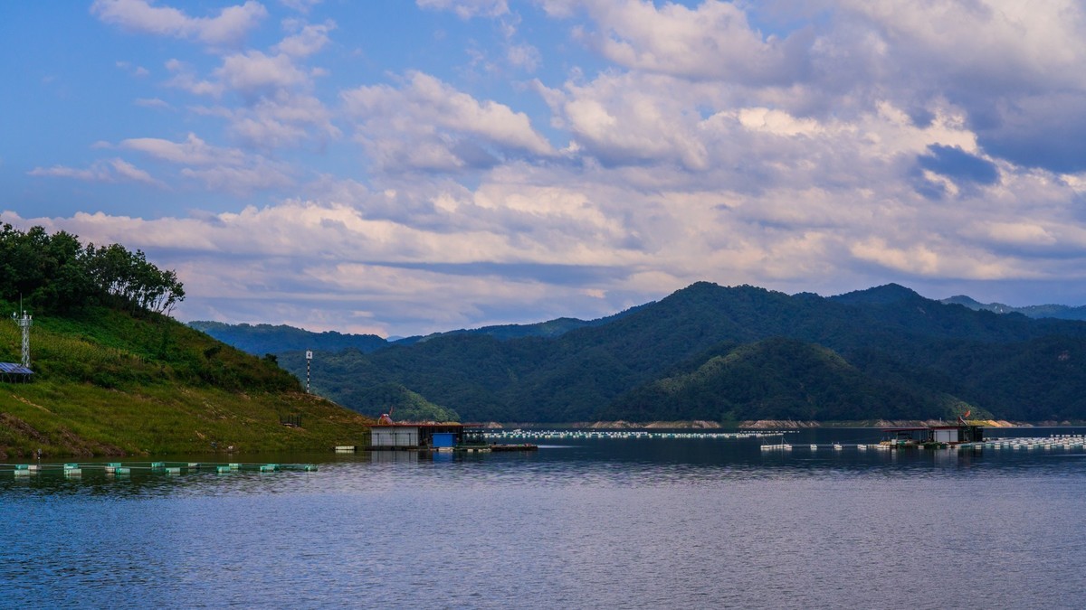 碧波荡漾水丰湖(五)