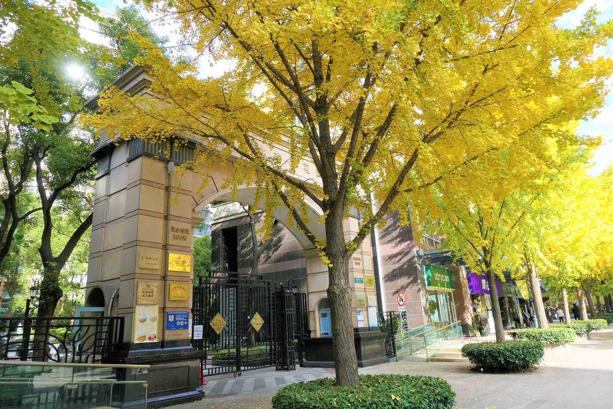 【2021黄金城道淘金掠影】——摄于上海黄金城道