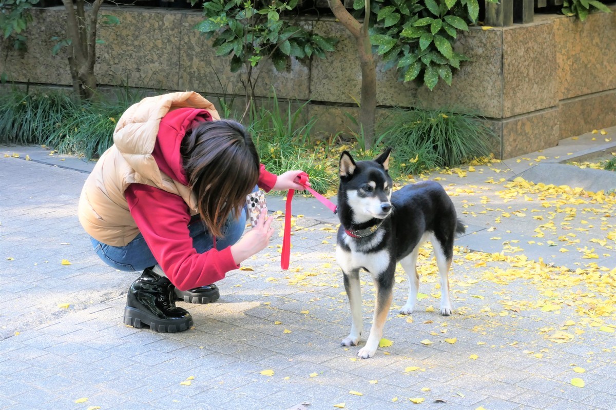 【2021黄金城道淘金掠影】——摄于上海黄金城道