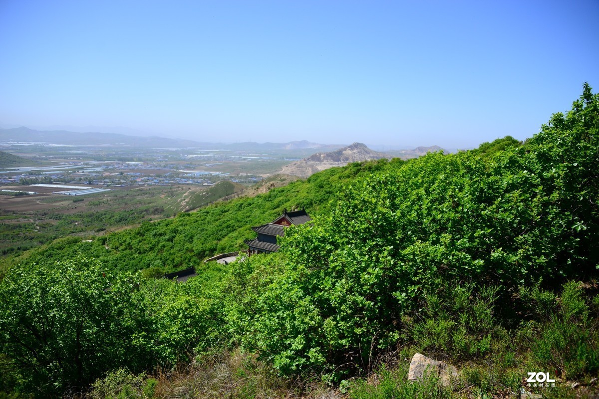 辽宁羊山图片