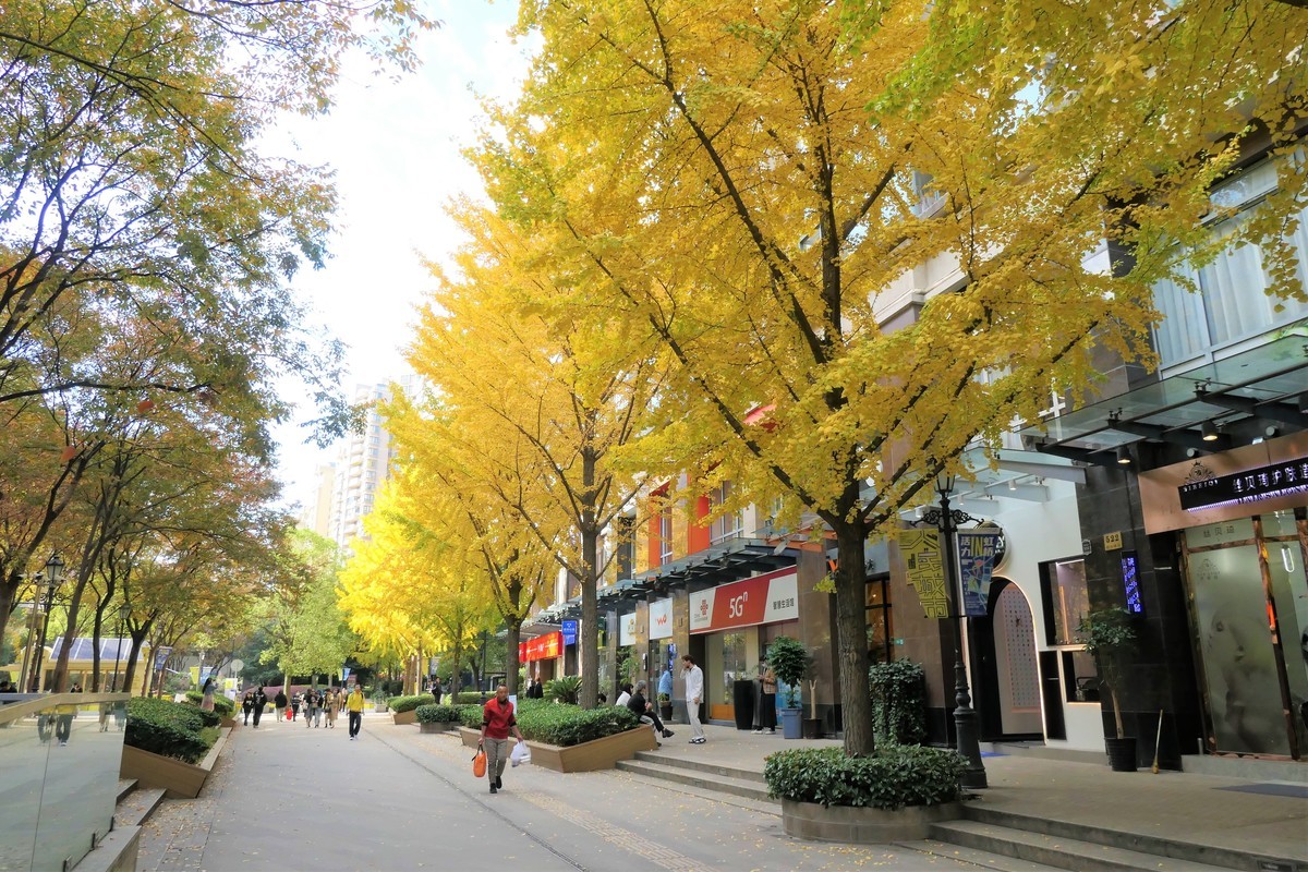 【2021黄金城道淘金掠影】——摄于上海黄金城道