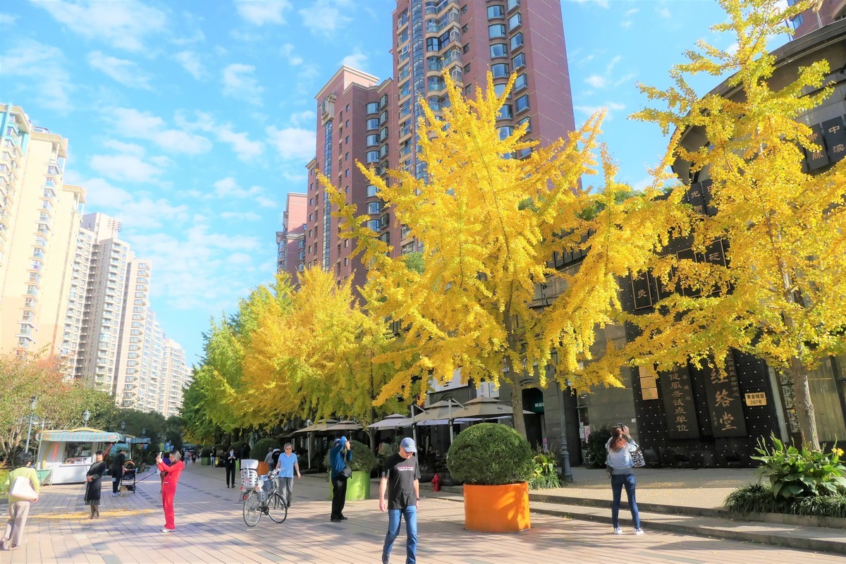 【2021黄金城道淘金掠影】——摄于上海黄金城道