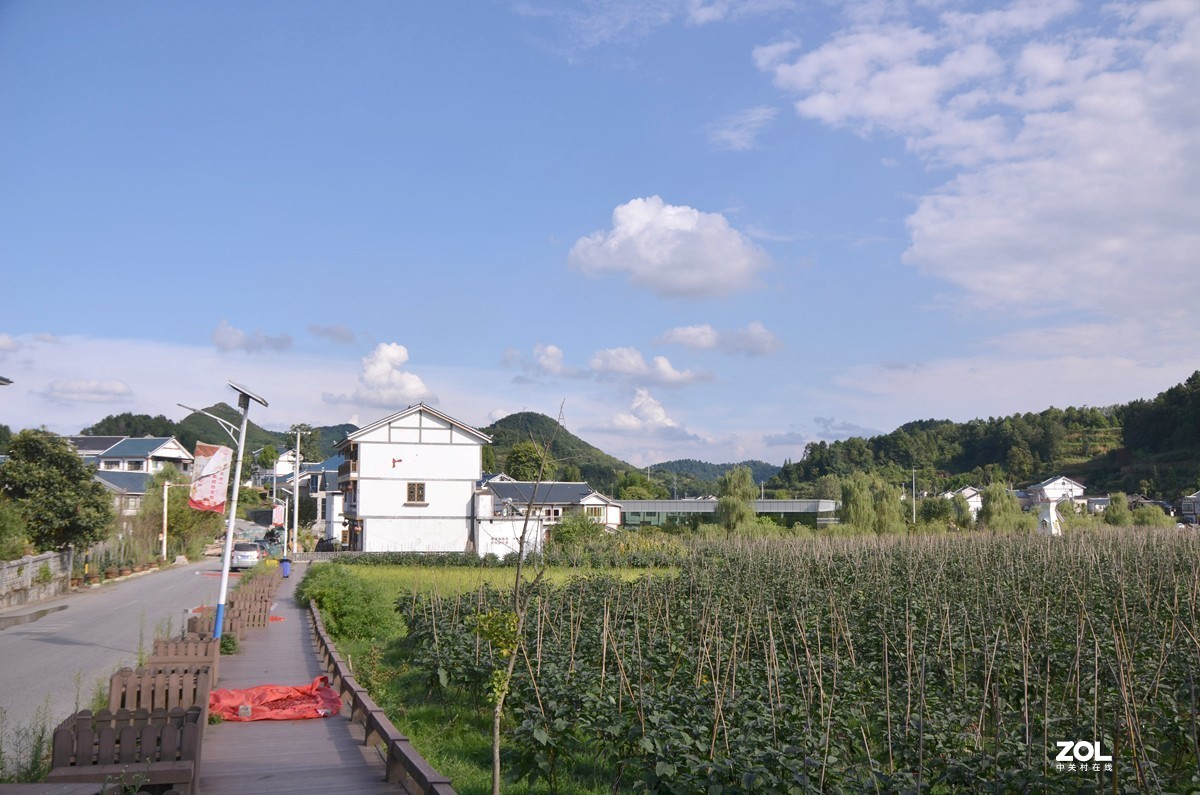 遵义枫香镇花茂村三