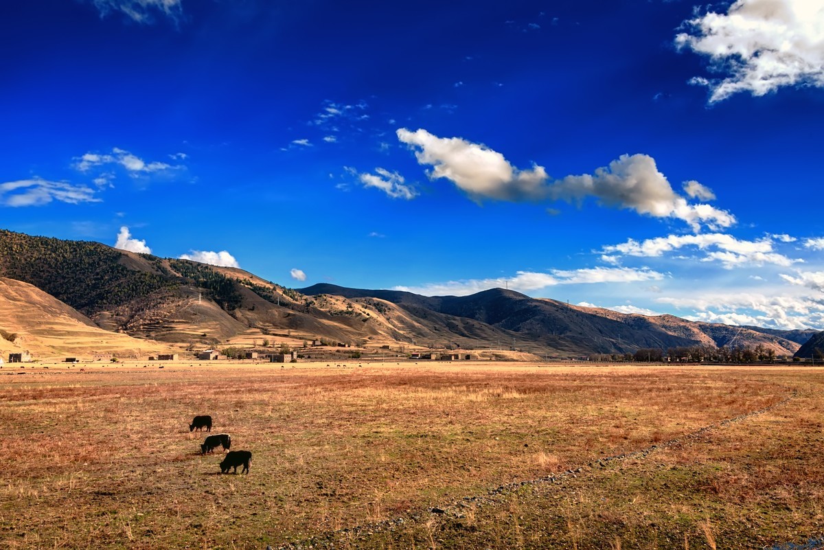川西甘孜州：康定新都桥 · 理渠河风光